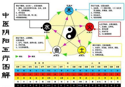 金生水職業|五行屬水的工作有哪些